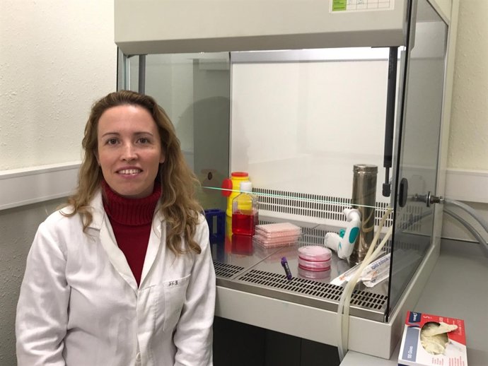 Premio Carmen Lavigne Hinojosa investigación cancer colon células Cabimer Málaga