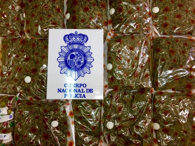 La Policía desmantela una plantación de marihuana en una finca en las