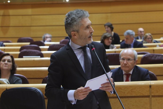 El ministro del Interior, Fernando Grande-Marlaska, en el Pleno del Senado