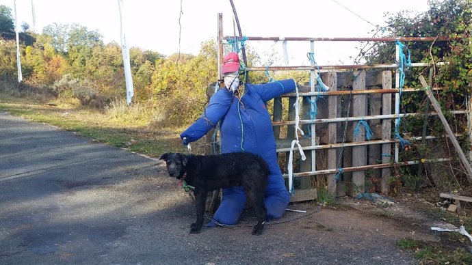 Perro para contener el ganado rescatado por APA Rioja