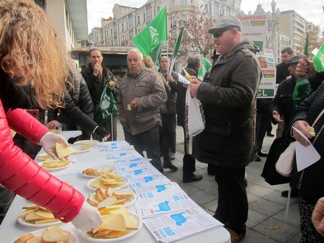 Degustación de queso de oveja en Valladolid.