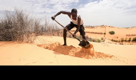 Cooperación y Desarrollo