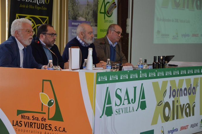 Jornada de Asaja Sevilla sobre el olivar