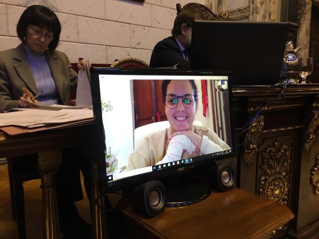 Gómez sigue el pleno por Skype