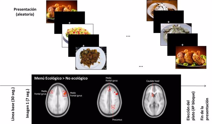 Estudio demuestra que el cerebro crea afectividad con platos bien presentados