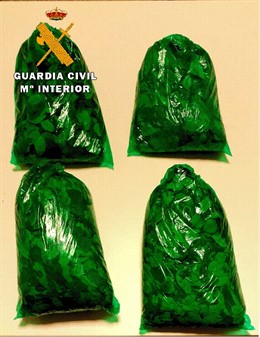 Las cuatro bolsas de coca.