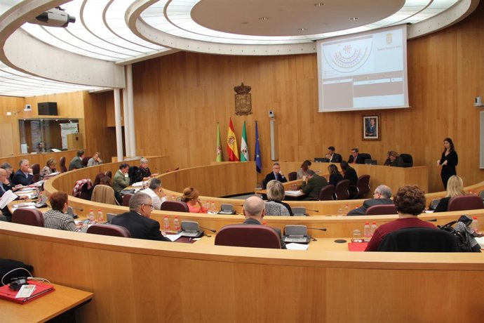 Pleno de la Diputación