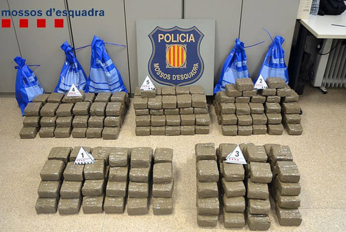 Agencia Catalana de Noticias