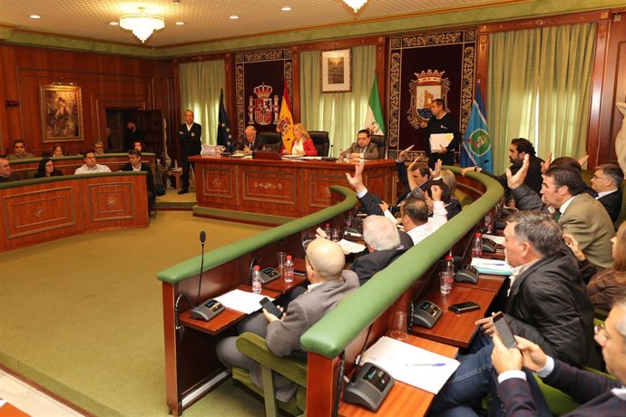 Pleno extraordinario de Marbella del 20 de diciembre de 2018