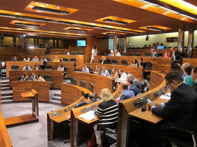 Pleno de la Junta General