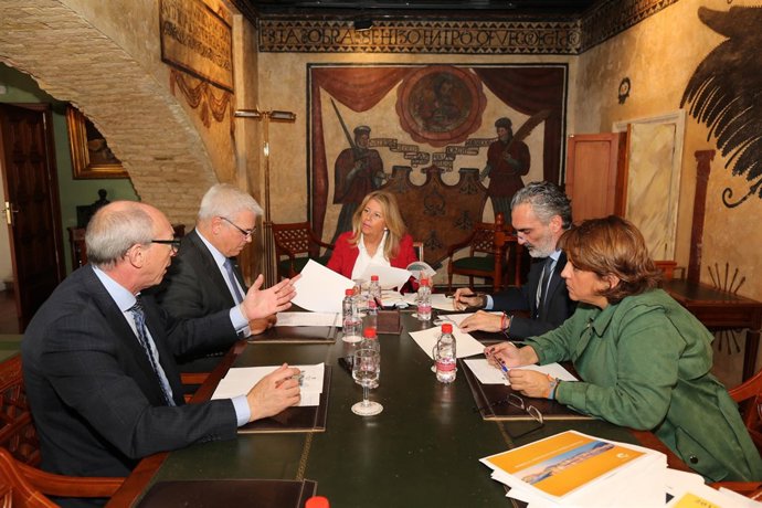 Reunión entre Ayuntamiento de Marbella y Aehcos
