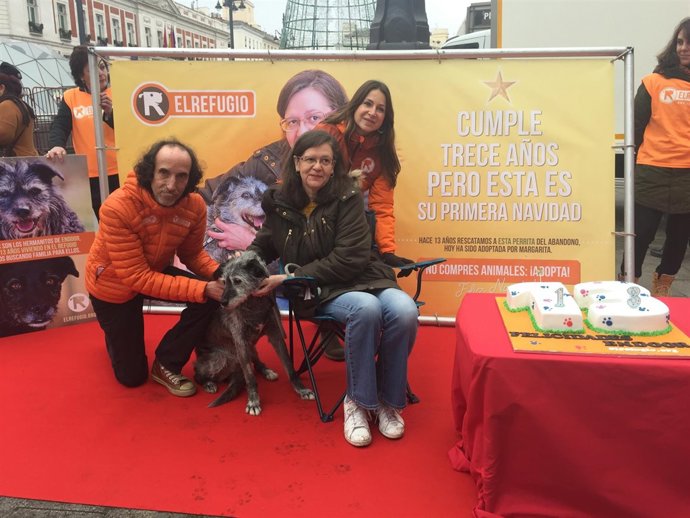 Adopción en El Refugio