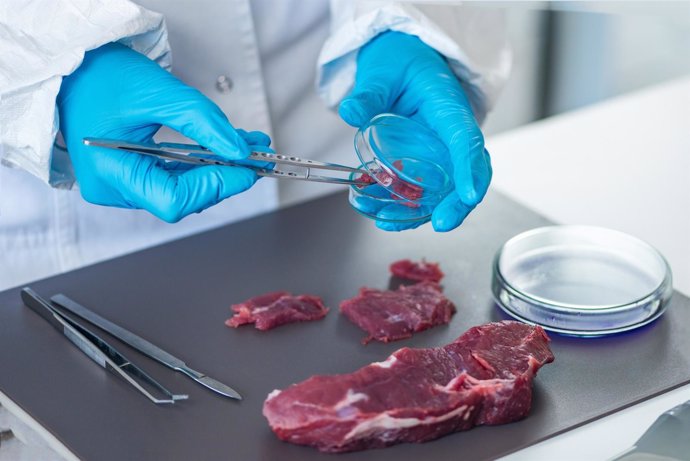 Carne de ciervo tiene 'propiedades saludables'