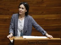 El Principado recuerda a los grupos que aprobar las cuentas es"infinitamente mejor" que una prórroga