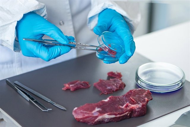 Carne de ciervo tiene 'propiedades saludables'