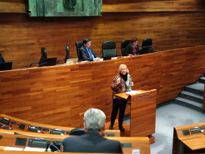 La presidenta del PP, Mercedes Fernández, en el debate de totalidad