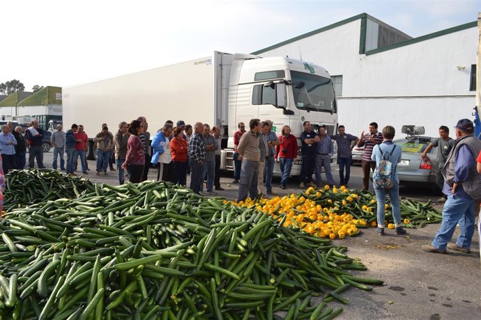 Retirada de pepino y pimiento amarillo