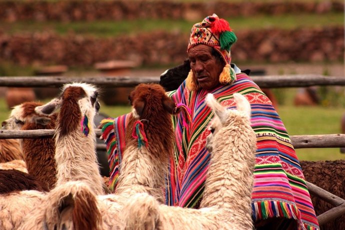 Perú es el país con la canasta básica más cara