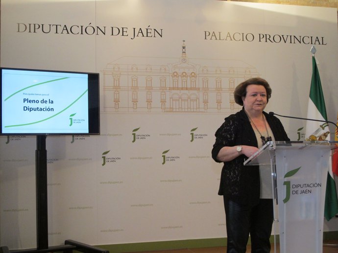 La vicepresidenta de la Administración provincial, Pilar Parra