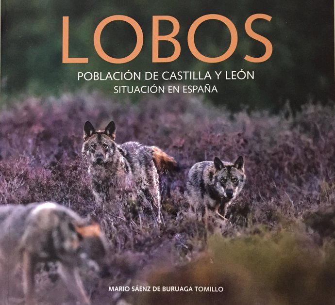 Portada de 'Lobos: Población de Castilla y León. Situación en España'