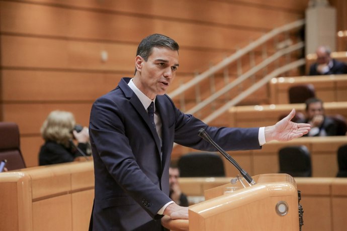 Pedro Sánchez (arxiu)