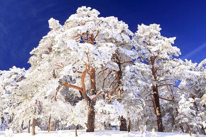 Parque Nacional de la Sierra de Guadarrama