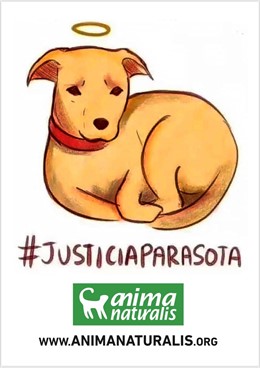 La concentración está prevista el viernes 30 a las 19:00