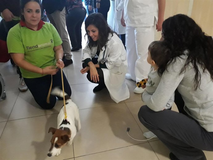 Perros terapéuticos pacientes hospital quirónsalud málaga navidad estancia ingre