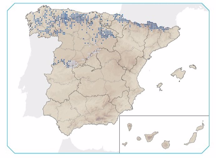 Distribución del desmán ibérico, vulnerable o en peligro de extinción en España