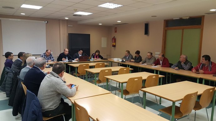 Pleno comarcal en Cinco Villas