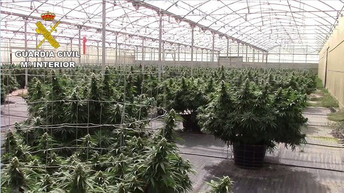Nave donde se encontraron las plantas de cannabis sátiva en Tauste