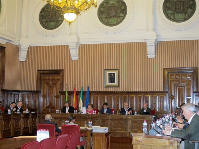 Pleno ordinario de la Diputación de Jaén.
