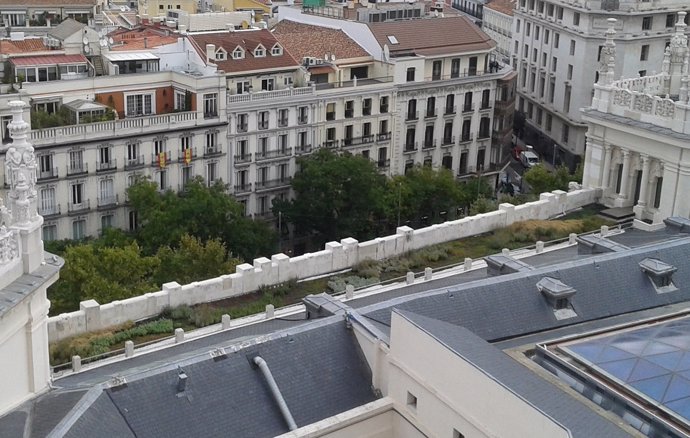 Árboles en Madrid