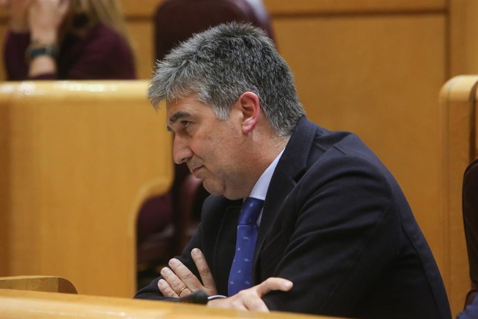 Ignacio Cosidó, portavoz del PP en el Senado, durante un Pleno