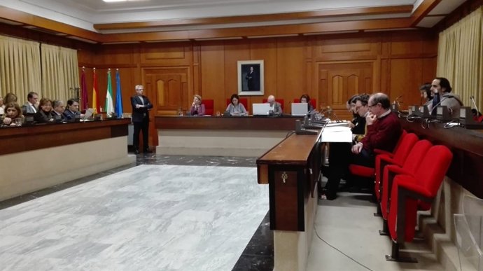 Un momento del Pleno