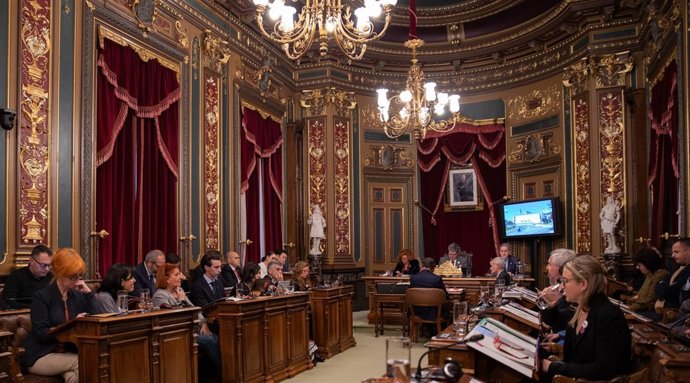 Pleno extraordinario de presupuestos para 2019