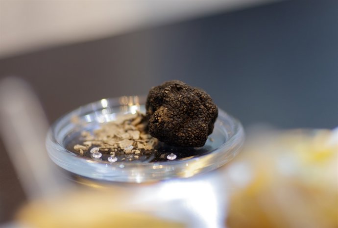 Postre, postres, confitería, repostería, dulce, dulces, trufa, trufas