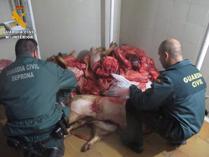 Guardia Civil junto a la carne de cerdo insalubre