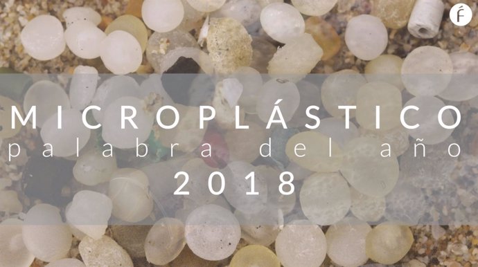Microplástico, palabra del año 2018 para la Fundéu BBVA