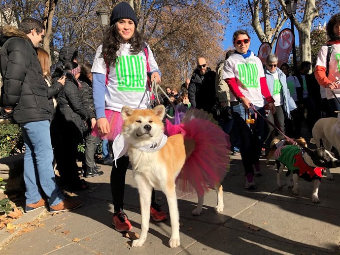Vídeo de la noticia