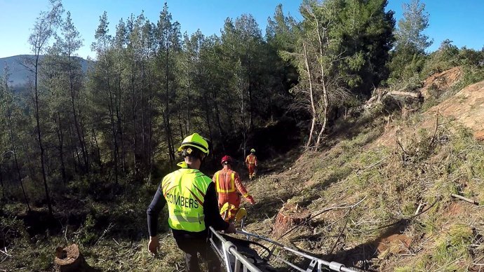 Rescate de un hombre que había quedado atrapado bajo un árbol en Xàtiva