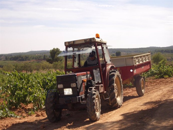 Tractor en una recogida de uva