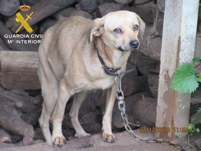 [Grupovigo] Nota De Prensa