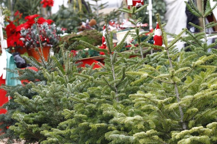 Navidad, navidades, árbol de Navidad, compras