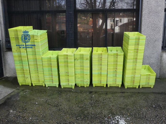 Detenidos tres vecinos de Ribeira por sustraer más de 300 cajas.