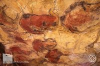 Zuloaga dice que la suspensión de visitas a Altamira es una decisión técnica y responsable