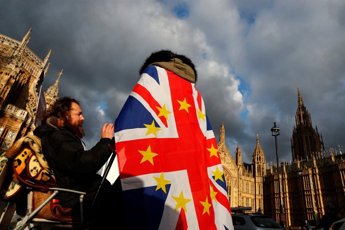 Manifestante contra el Brexit junto al Parlamento en Londres