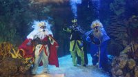 Melchor, Gaspar y Baltasar se zambullen en el mar Rojo del Oceanogràfic para repartir los primeros juguetes...