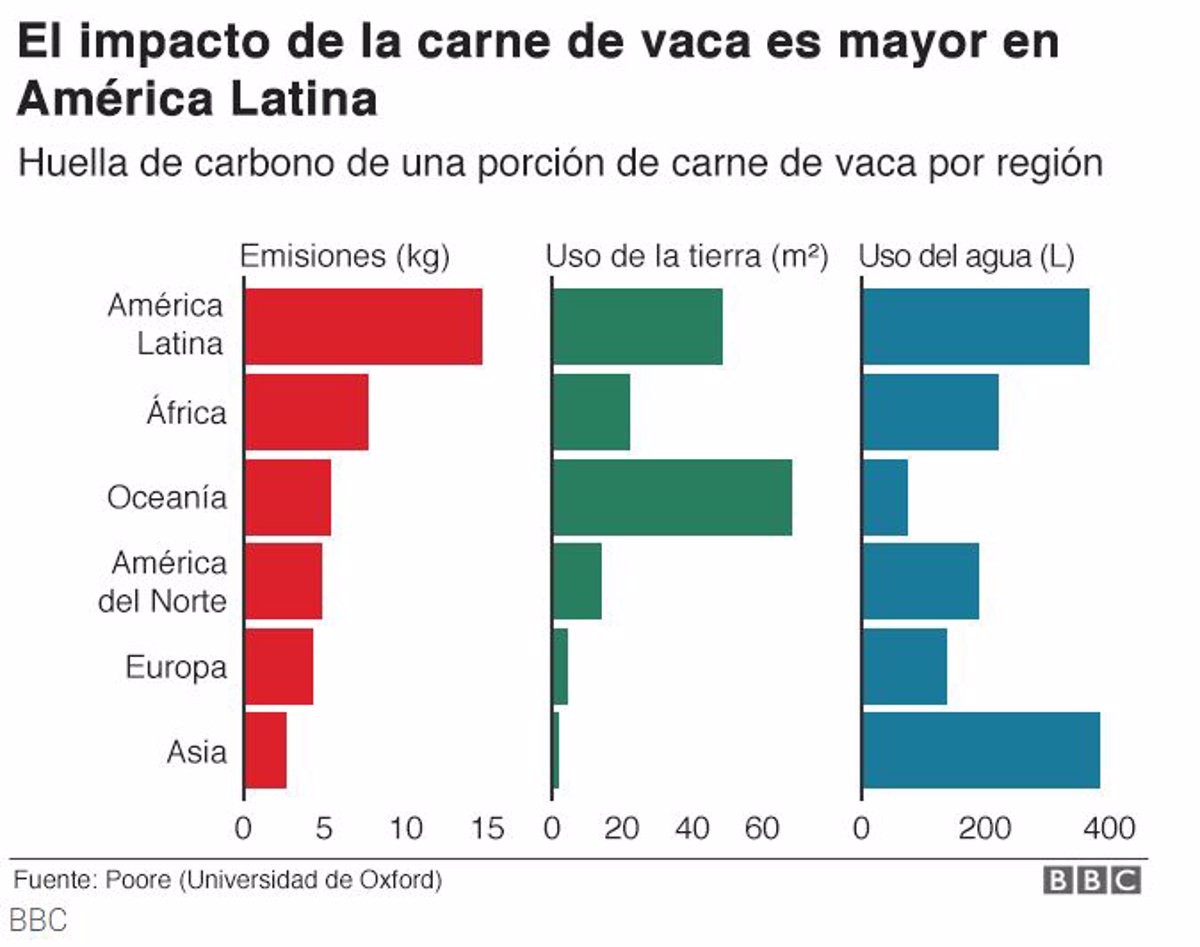 La Carne Originaria De Sudamérica Es La Más Dañina Para El Medioambiente 7700