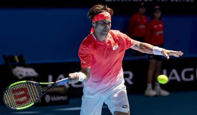 David Ferrer ejecuta un golpe